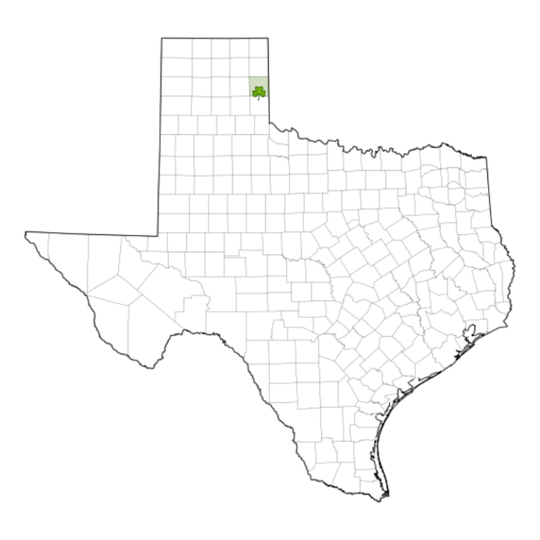 City of Shamrock, Texas City of Shamrock