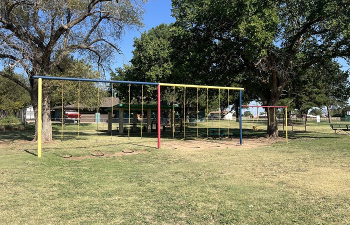 Swing set under large trees at Elmore Park.